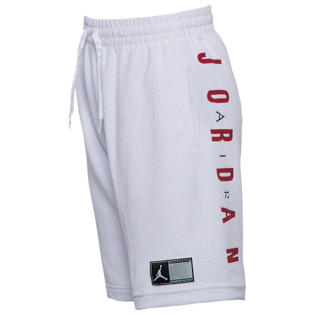 Jordan Wings Futura Shorts